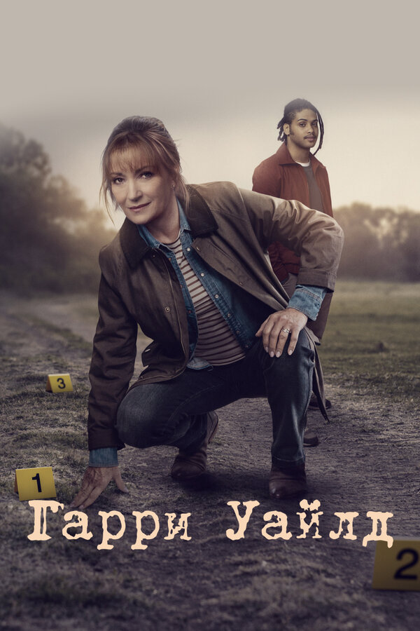 Гарри Уайлд - постер сериала